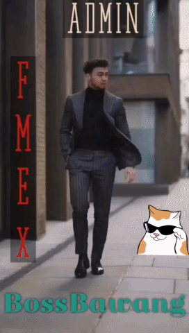 Fmex 02 Fmex Bb GIF