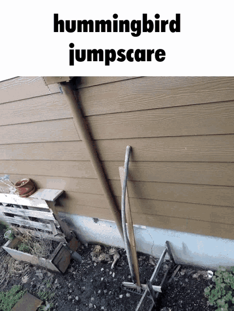Fnaf Jumpscare GIF