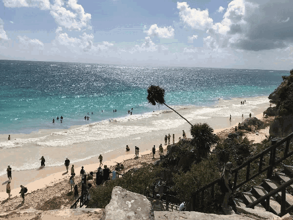 Focusedsq Paradise GIF