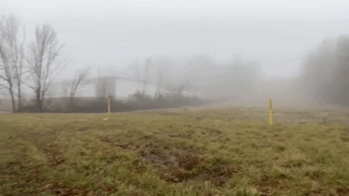 Fog Foggy GIF