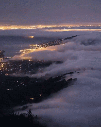 Fog Night Time Fog GIF