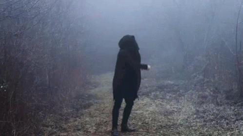 Foggy Nature GIF