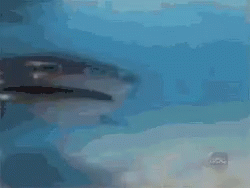 Fonzie Jumping GIF