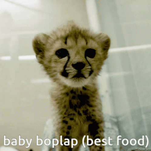 Food Boplap GIF