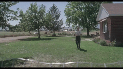 Food Llama GIF