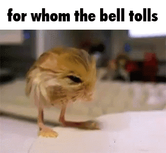 For Whom The Bell Tolls For Who The Bell Tolls GIF