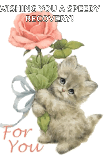 For You Cute Cat GIF. This 352 x 498 animated GIF is part of our get well soon collection. Related themes include cat, cute cat. Created by Bigdog5208. View…