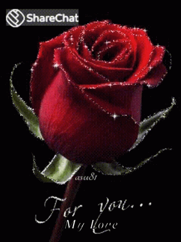 For You Roses GIF