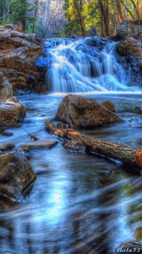 Forest Rocks GIF. This 280 x 498 animated GIF is part of our moving water collection. Related themes include water. Created by 1465ub. View the original…