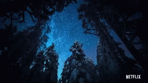 Forest Tree GIF