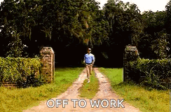 Forestgump Tomhanks GIF
