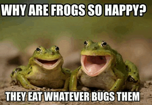 Forg Meme Meme