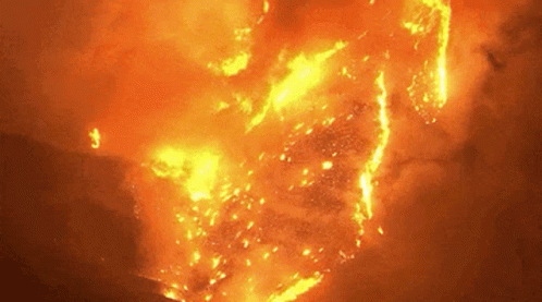 Forrest Fire GIF