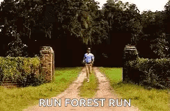 Forrest Gump Omw GIF