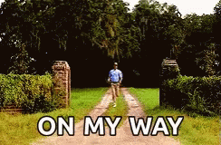 Forrest Gump Tom Hanks GIF