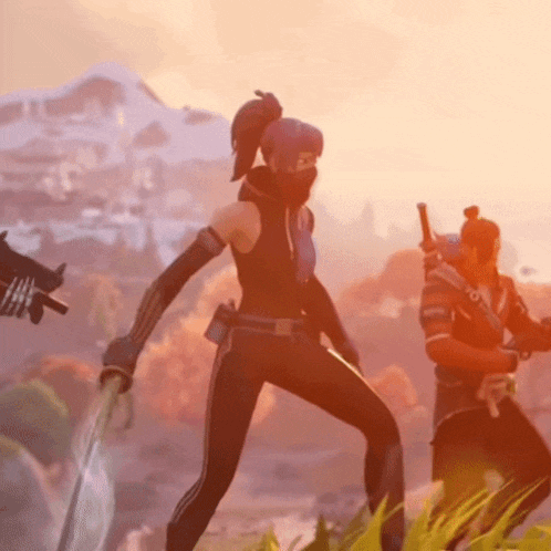 Fortnite Fortnite Hope GIF