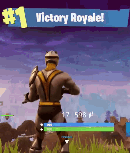Fortnite Victory GIF