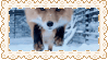 Foxes Fox Love Sticker