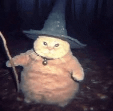 Fozzie Fat Meme
