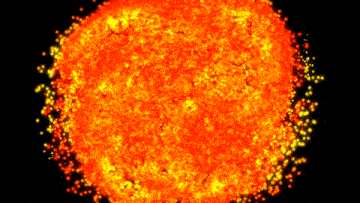 Fractal Geometry GIF