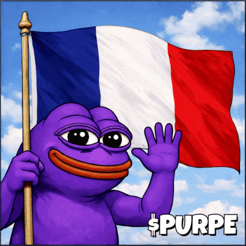 France Flag French Vibes GIF