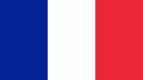 France French Flag GIF
