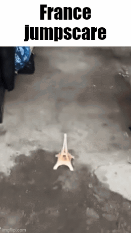 France Jumpscare GIF