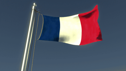 France Navy GIF