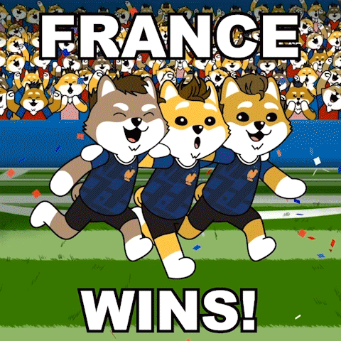 France Wins Allez France GIF