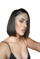 Francoyasociados1956png Sticker
