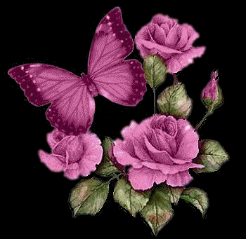 Frases De Amor GIF