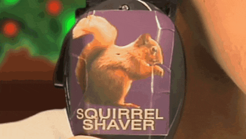 Fred Figglehorn Squirrel GIF