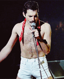 Freddie Mercury GIF
