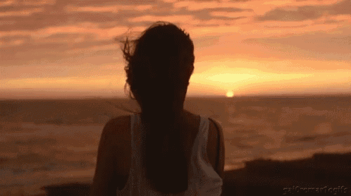 Freedom GIF