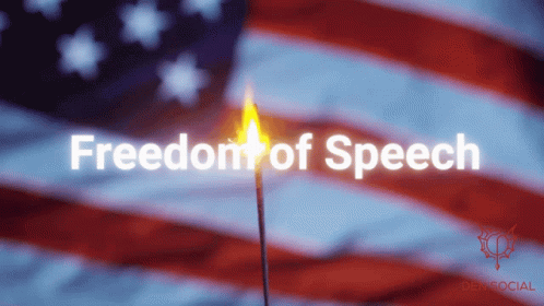 Freedom Of Speech Free Speech GIF