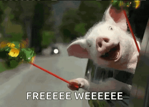 Freedom Roadtrip GIF. This 498 x 358 animated GIF is part of our freedom collection. Created by MaryDColorado. View the original animation, share it, or…