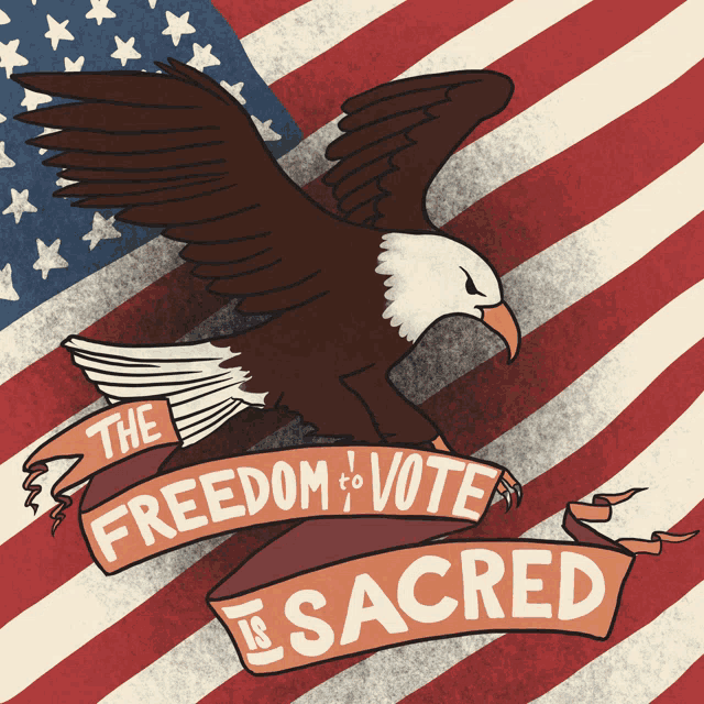 Freedom To Vote Is Sacred Eagle GIF