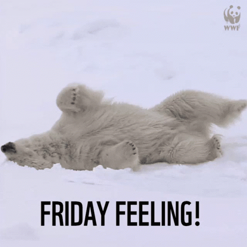 Freezing Friday GIF