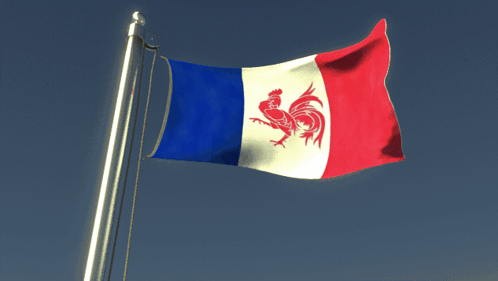 French Wallony Belgium GIF