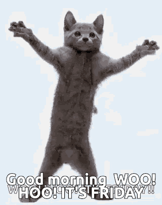 Friday GIF