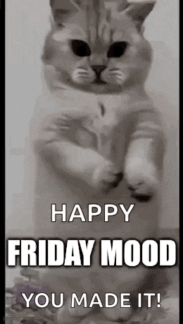 Friday End Of The Week GIF