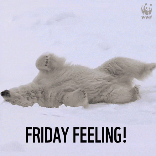 Friday Feeling GIF