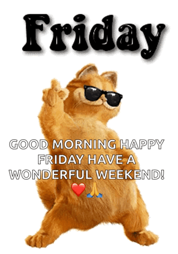 Friday GIF