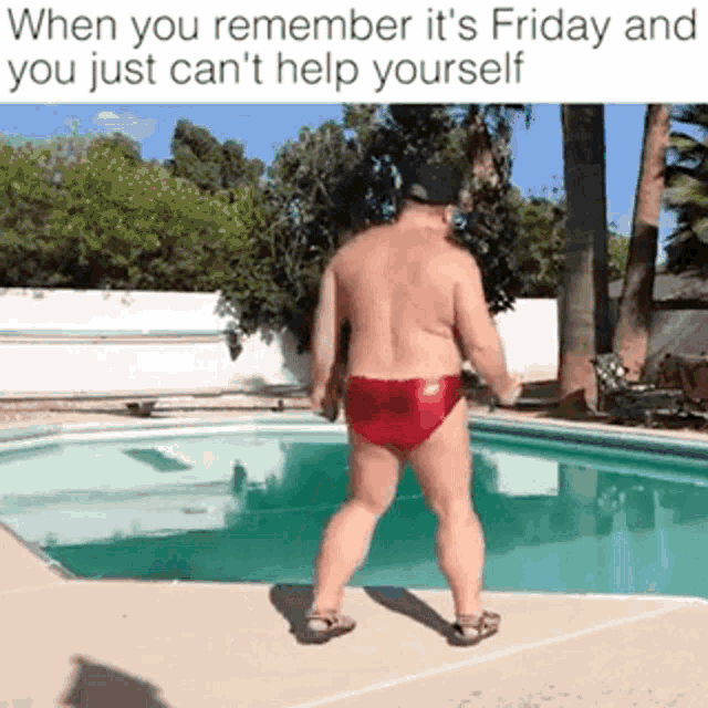 Friday Funny GIF