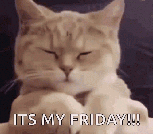 Friday Good GIF