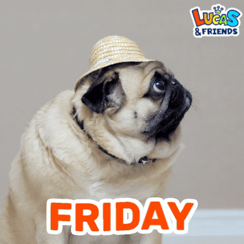 Friday Happy Friday GIF