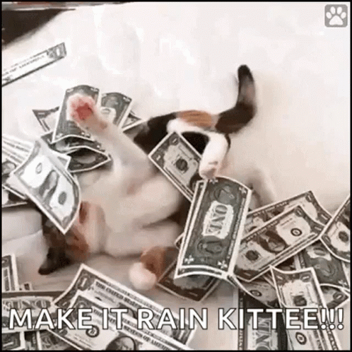 Friday Pay GIF