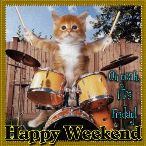 Friday Tgif GIF