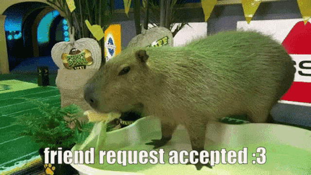 Friend Request Accepted Accepted GIF