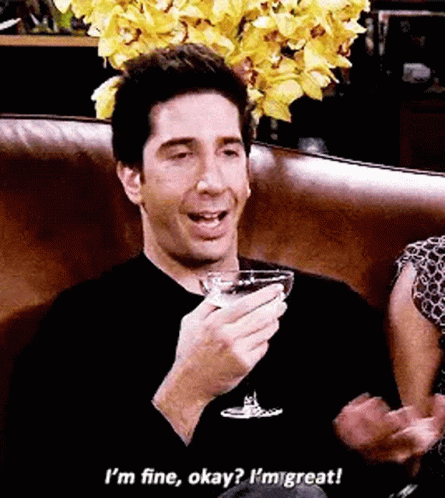 Friends American Sitcom GIF. This 445 x 498 animated GIF is part of our ross im fine collection. Related themes include im fine, okay. Created by LeneCh…
